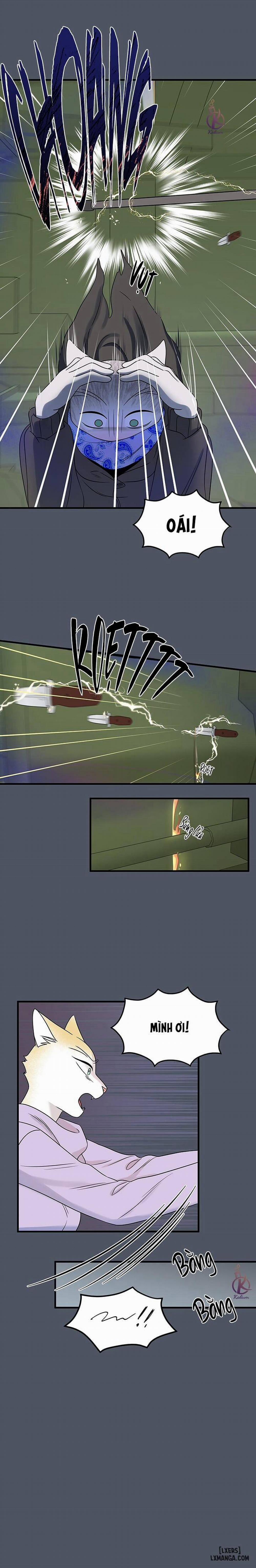 Dự án xanh 41 trang 12