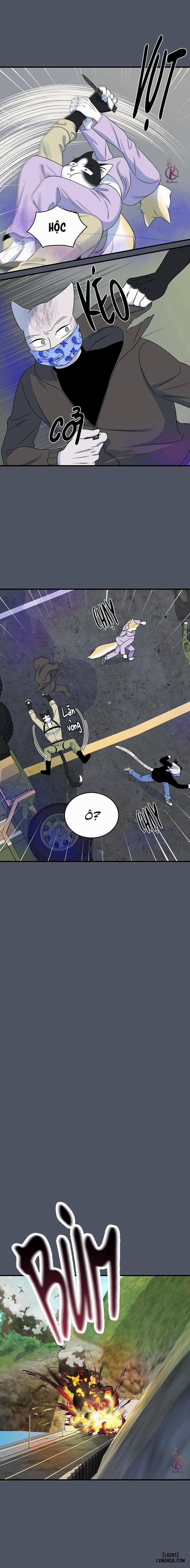 Dự án xanh 41 trang 16