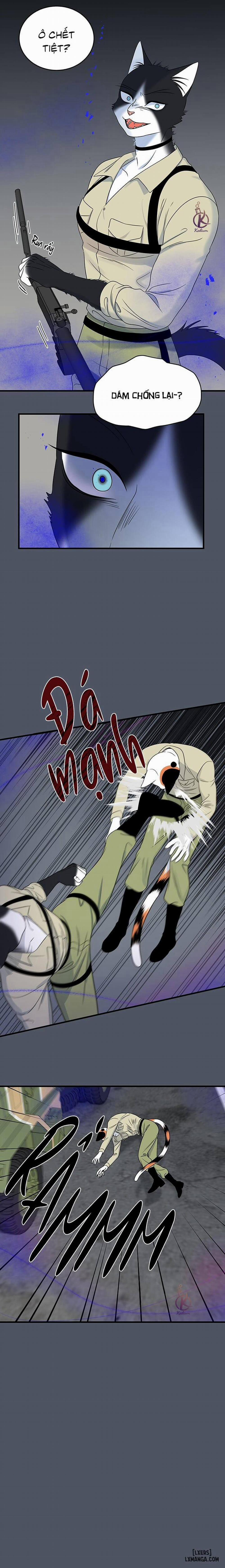 Dự án xanh 41 trang 8