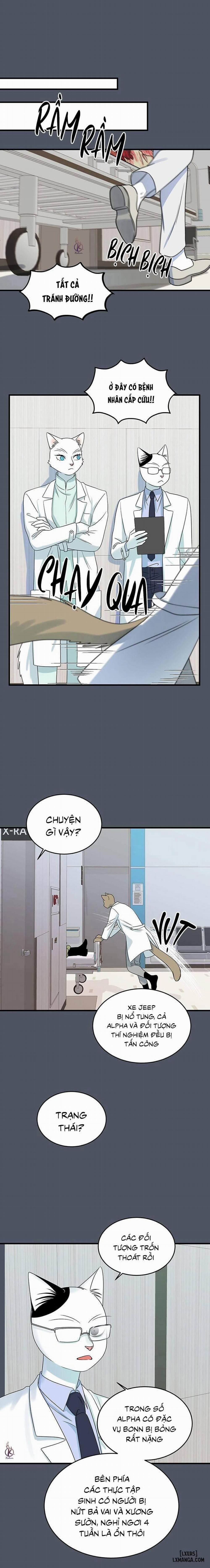 Dự án xanh 42 trang 0