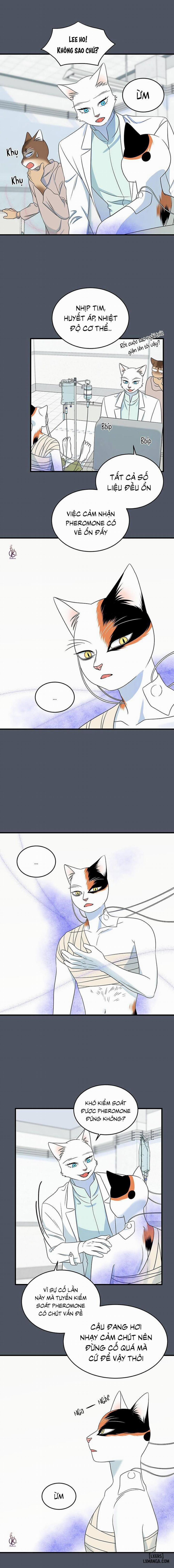 Dự án xanh 42 trang 13