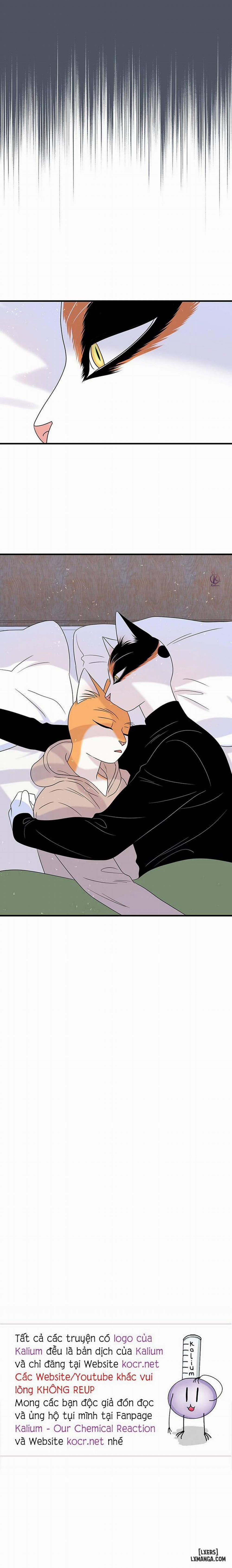 Dự án xanh 42 trang 16