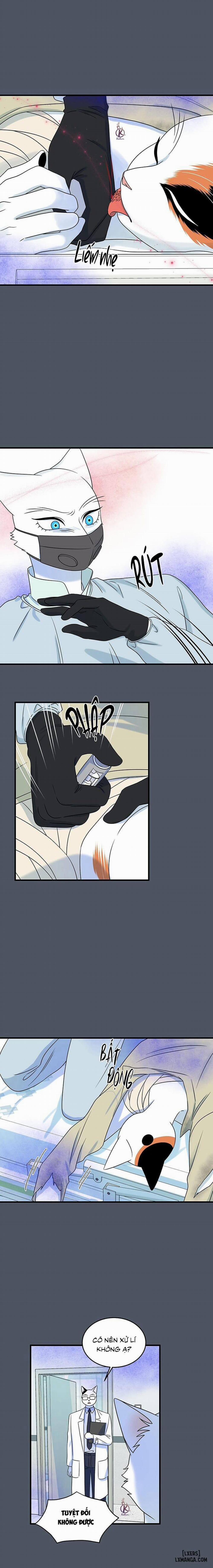 Dự án xanh 42 trang 6