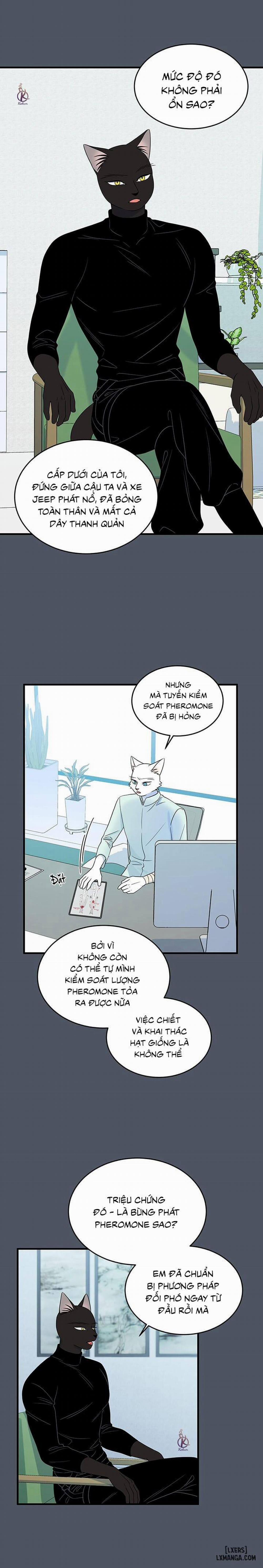 Dự án xanh 42 trang 8