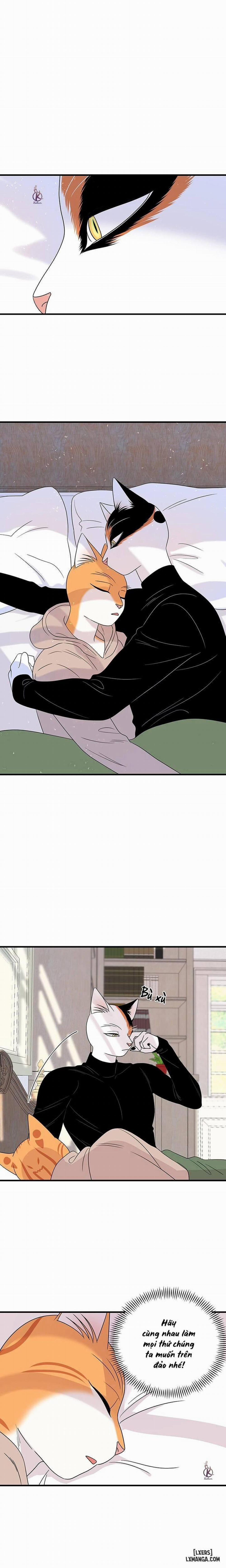 Dự án xanh 43 trang 0