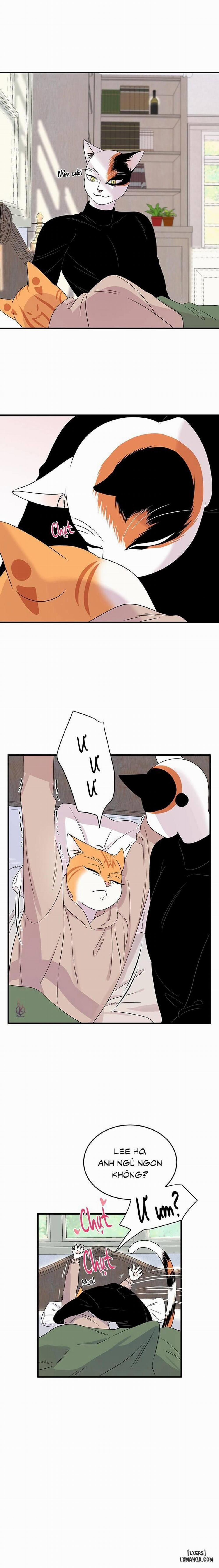 Dự án xanh 43 trang 1