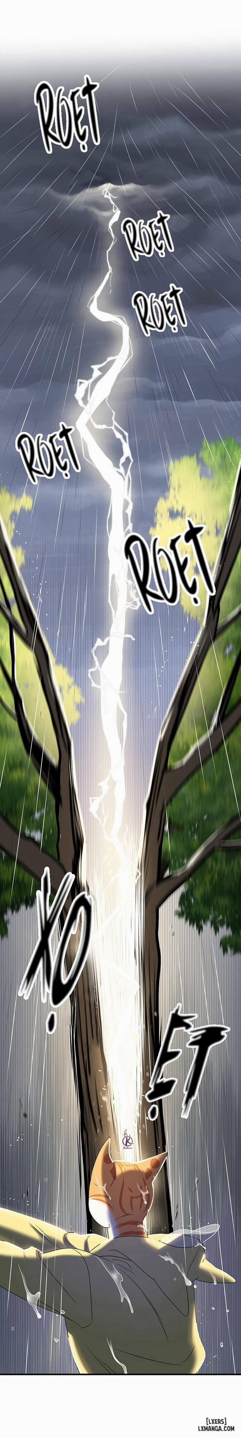 Dự án xanh 43 trang 13