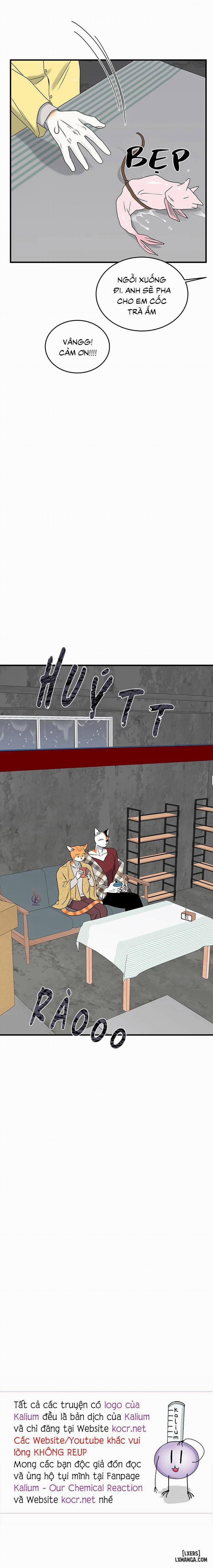 Dự án xanh 43 trang 17