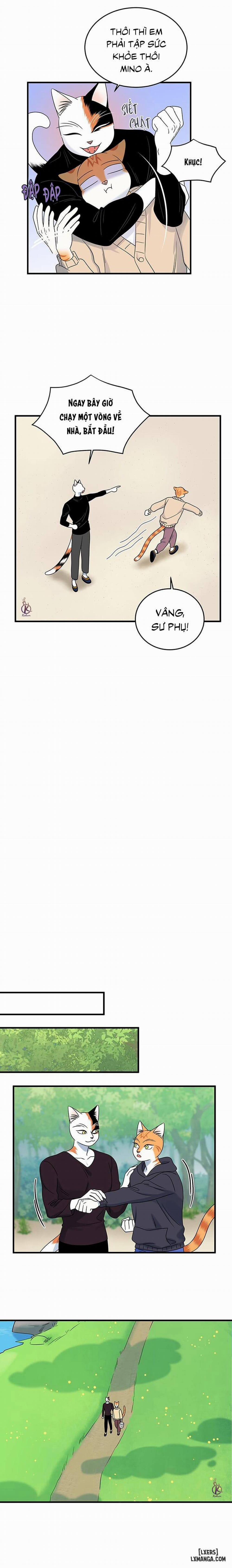 Dự án xanh 43 trang 6