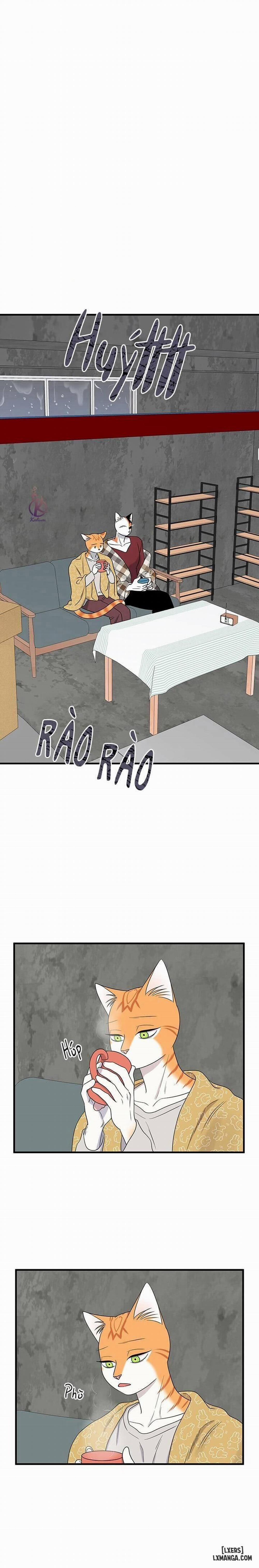 Dự án xanh 44 trang 0