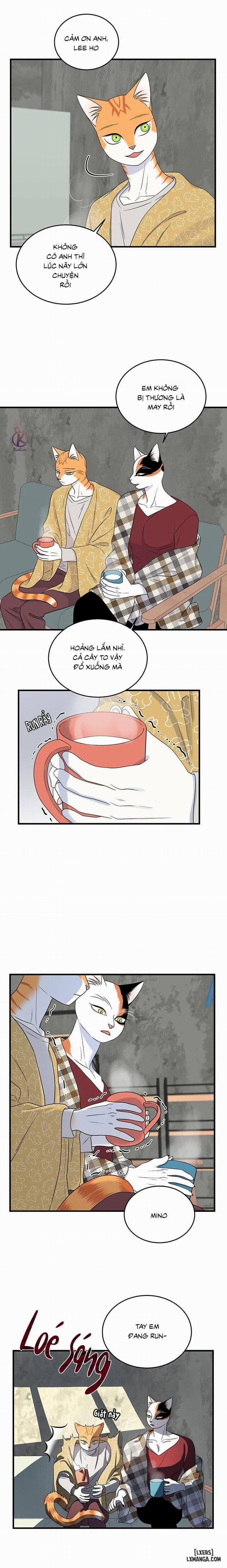 Dự án xanh 44 trang 1