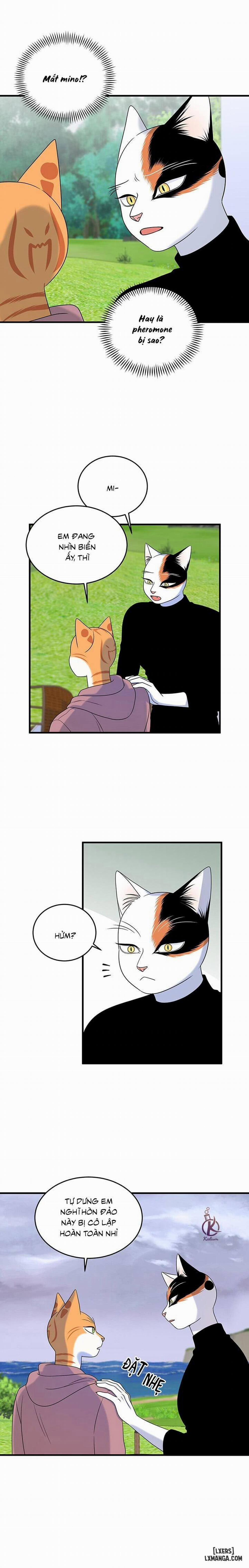 Dự án xanh 44 trang 10