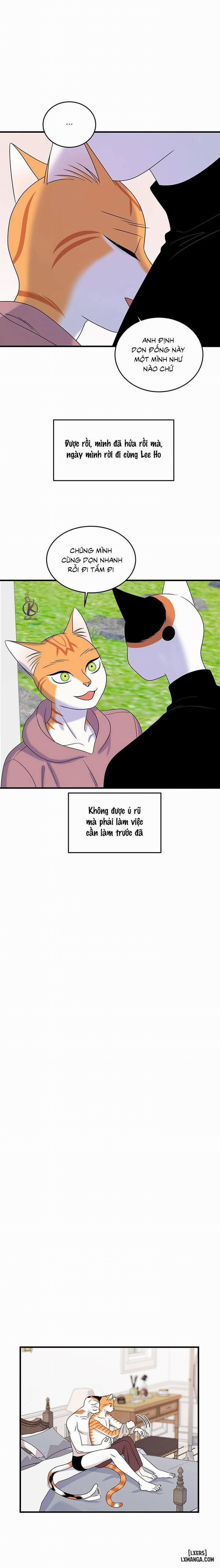 Dự án xanh 44 trang 13