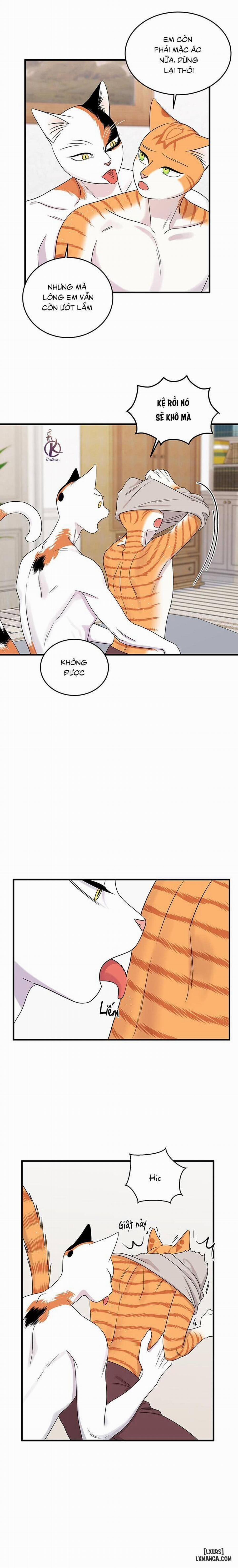 Dự án xanh 44 trang 14