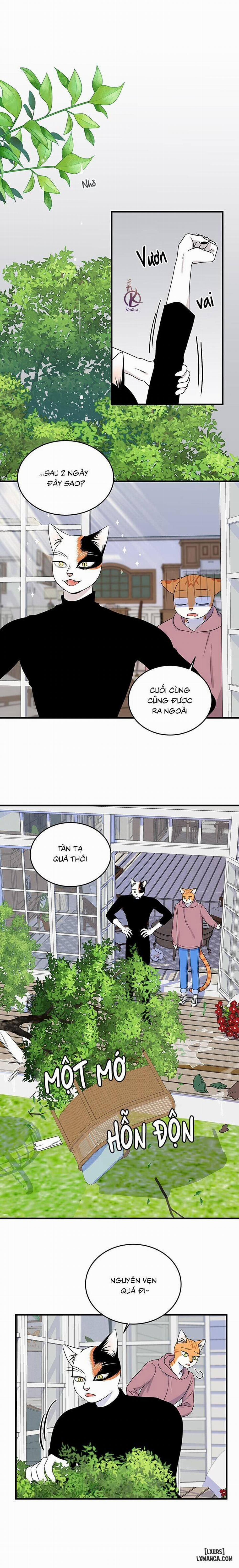 Dự án xanh 44 trang 5