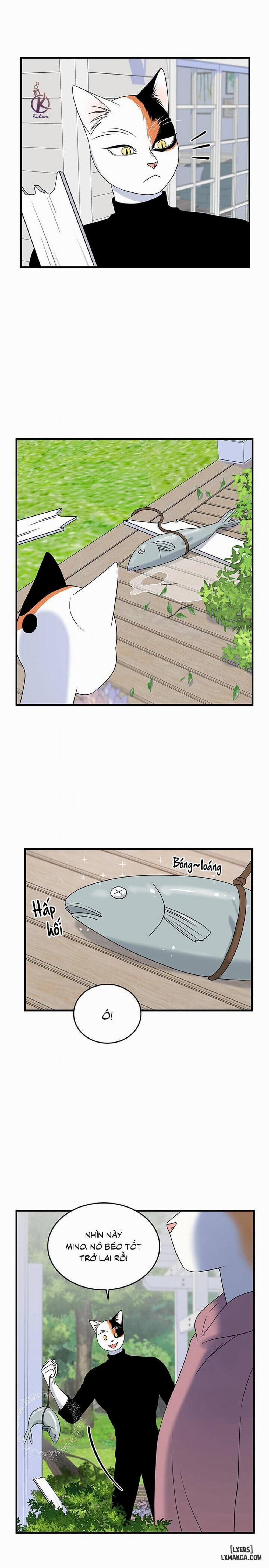 Dự án xanh 44 trang 8