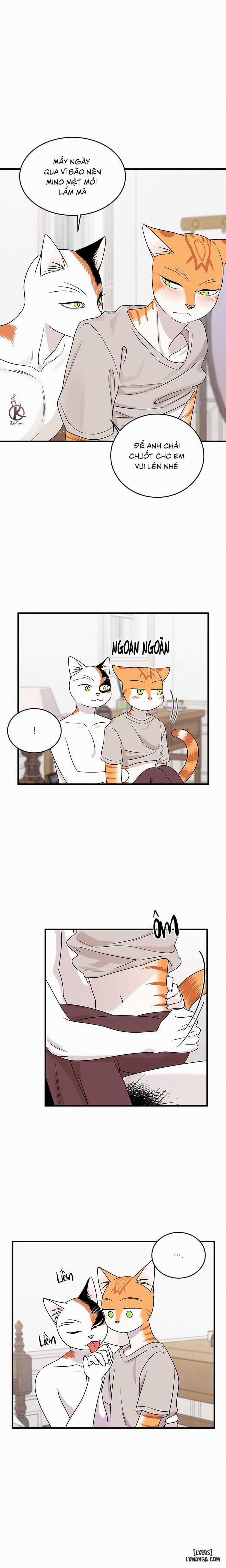 Dự án xanh 45 trang 0