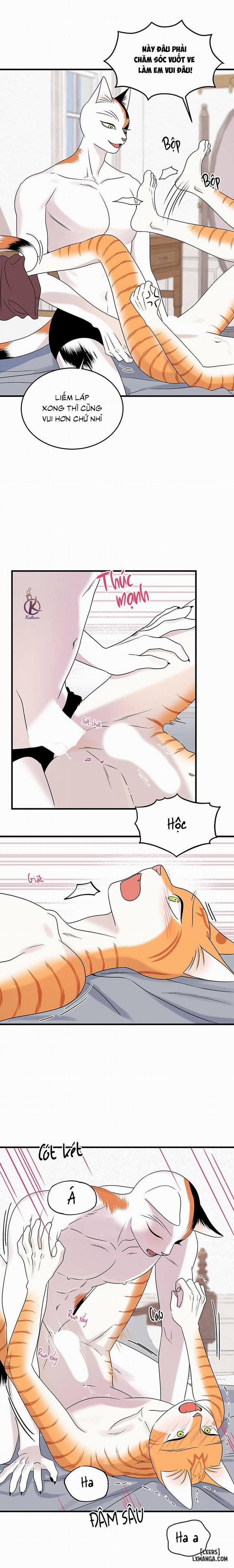 Dự án xanh 45 trang 10