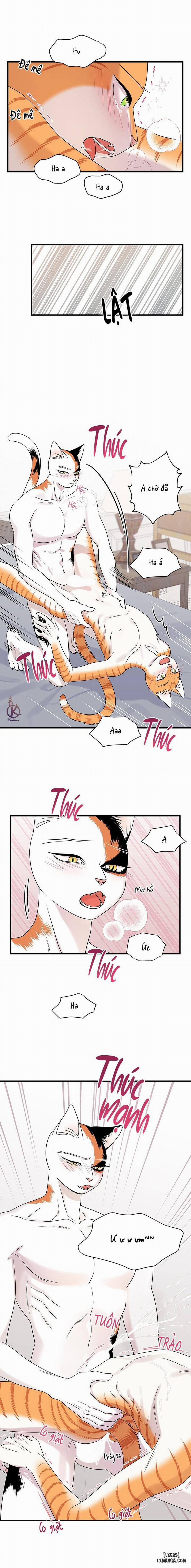 Dự án xanh 45 trang 14