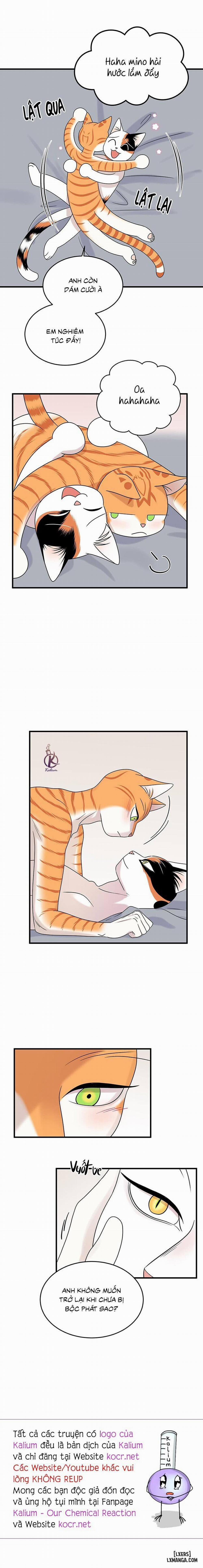 Dự án xanh 45 trang 16