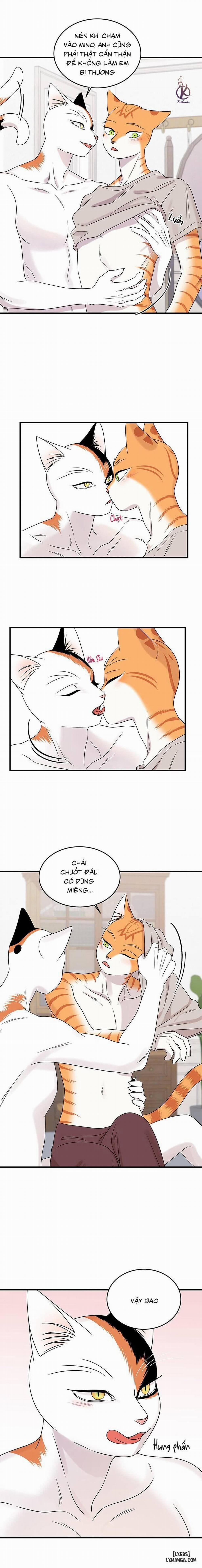 Dự án xanh 45 trang 2