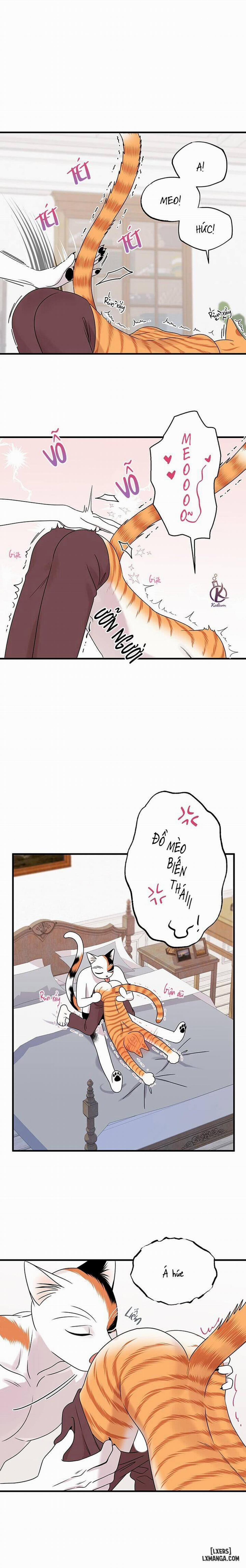 Dự án xanh 45 trang 5