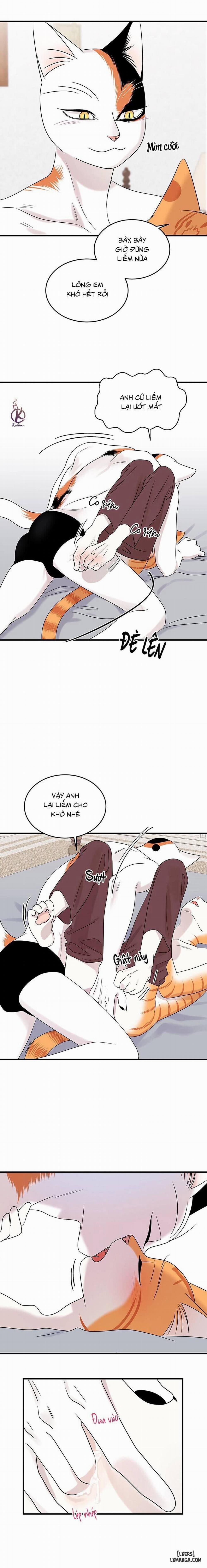 Dự án xanh 45 trang 7