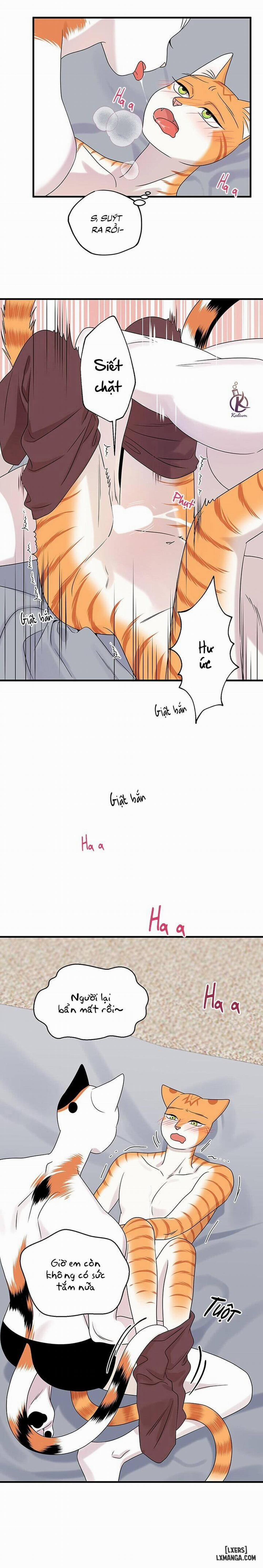 Dự án xanh 45 trang 9