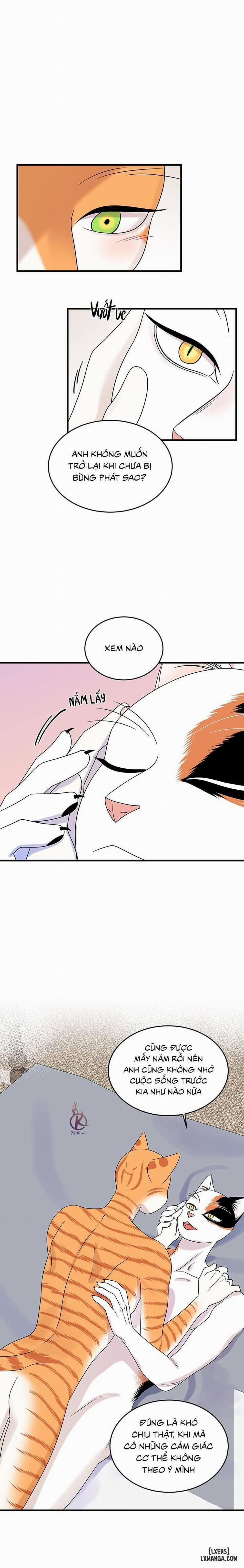 Dự án xanh 46 trang 0