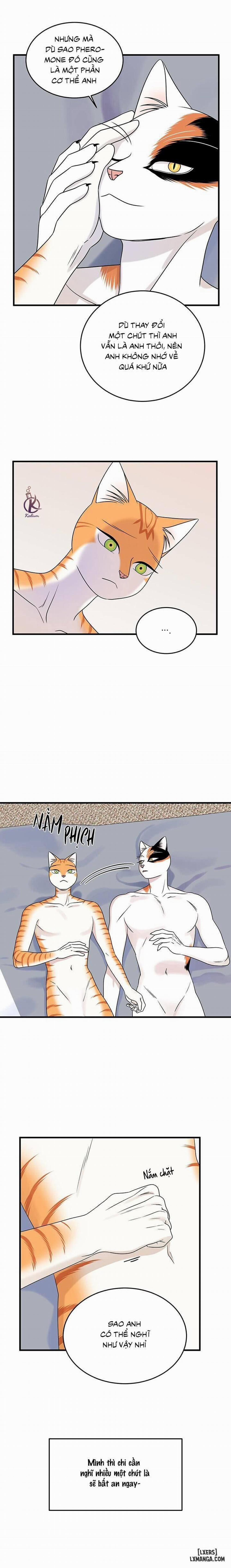 Dự án xanh 46 trang 1