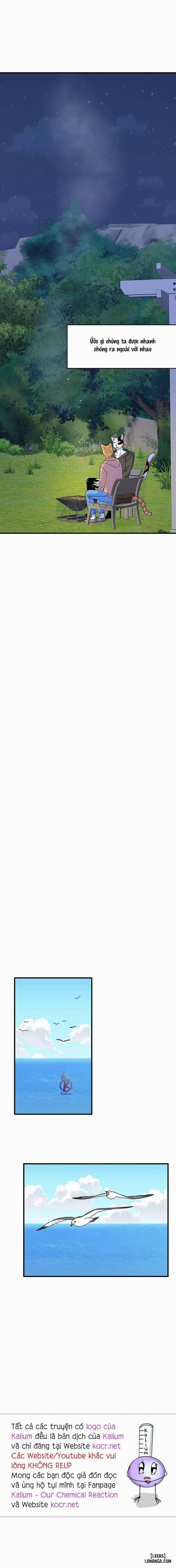 Dự án xanh 46 trang 16