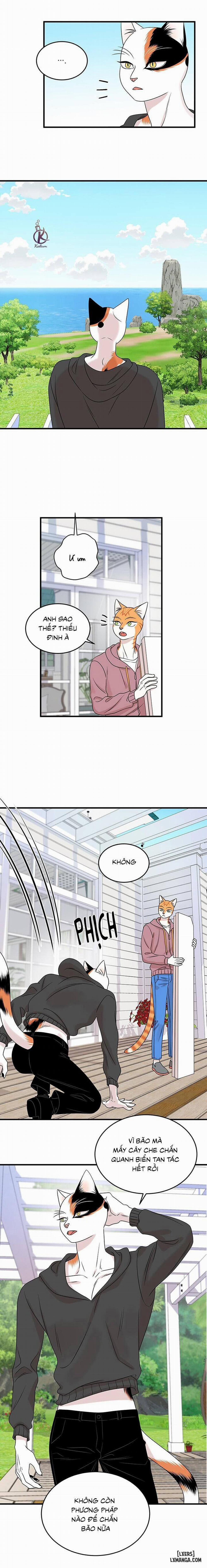 Dự án xanh 46 trang 5