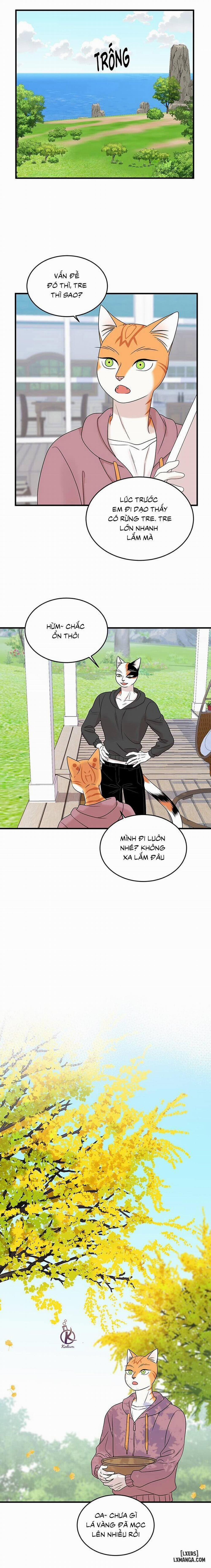 Dự án xanh 46 trang 6