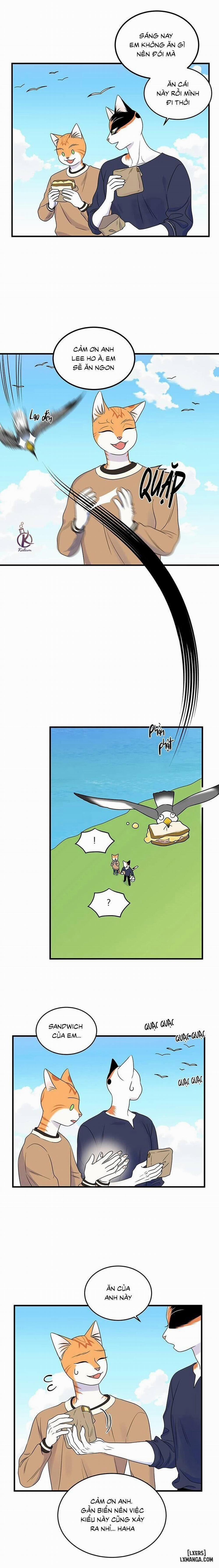 Dự án xanh 47 trang 1