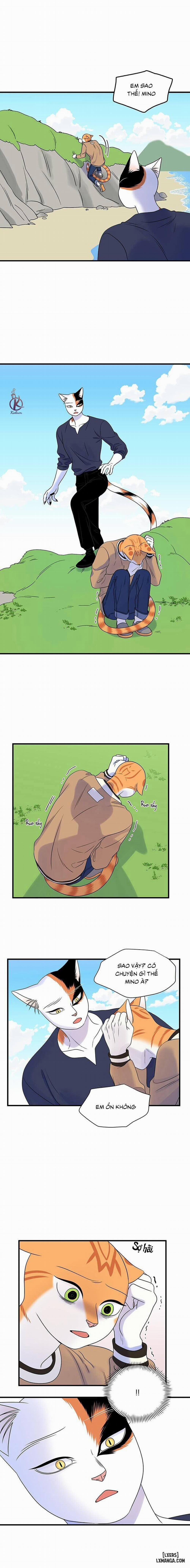 Dự án xanh 47 trang 10