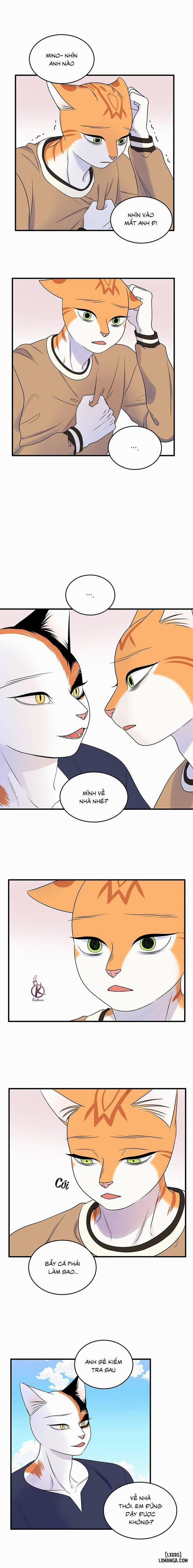 Dự án xanh 47 trang 11