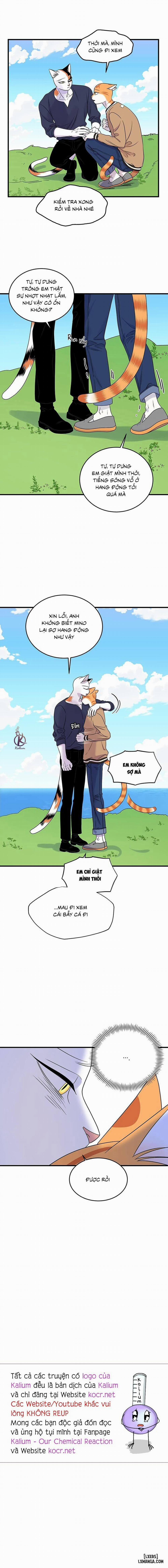 Dự án xanh 47 trang 12