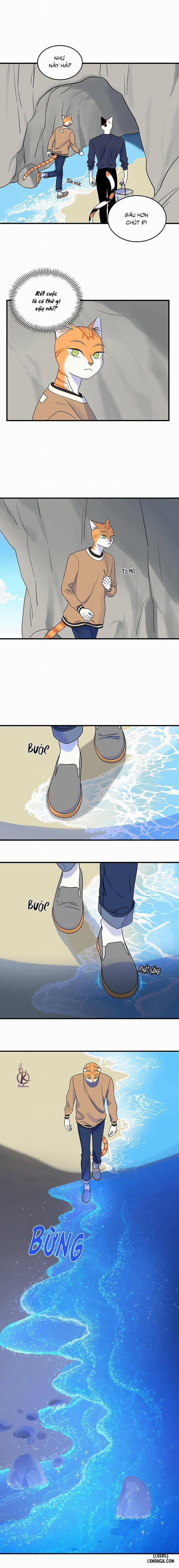 Dự án xanh 47 trang 5