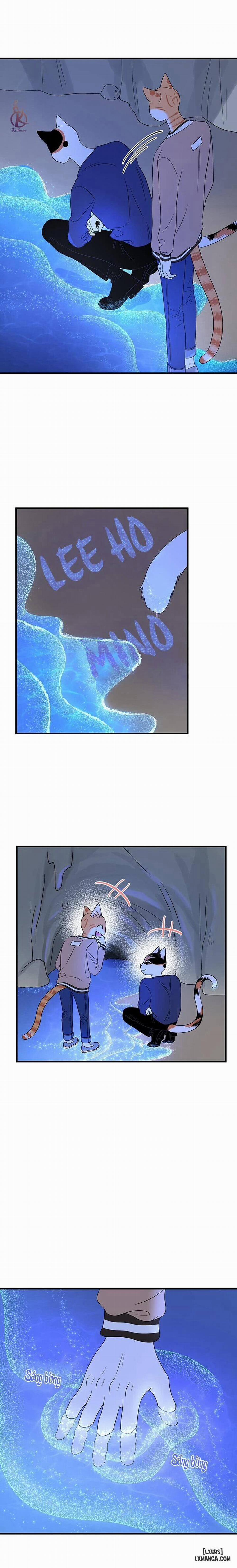 Dự án xanh 47 trang 7