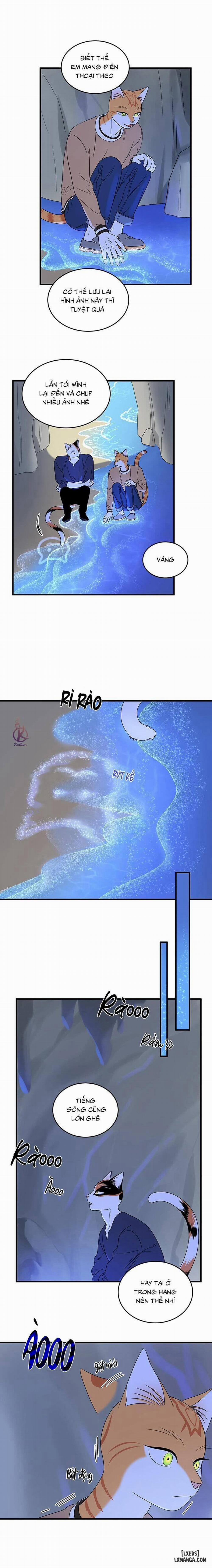 Dự án xanh 47 trang 8