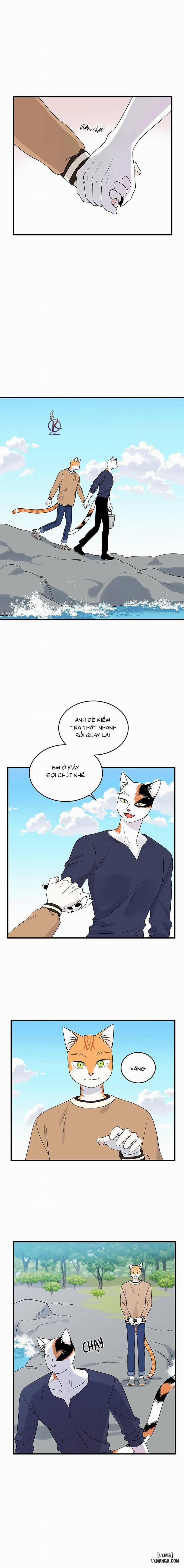 Dự án xanh 48 trang 0