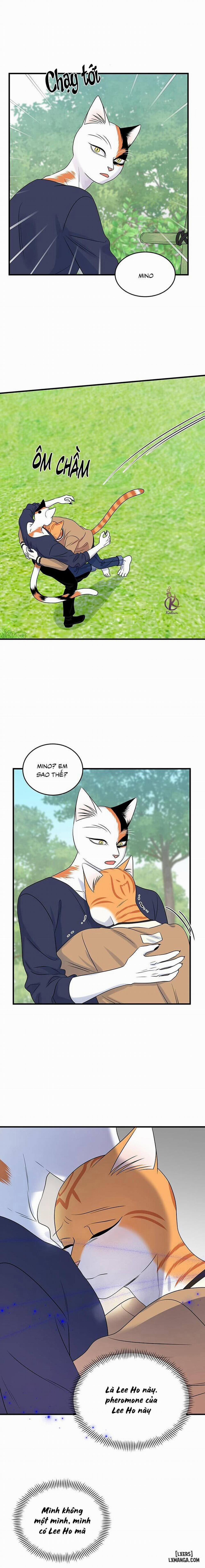 Dự án xanh 48 trang 12