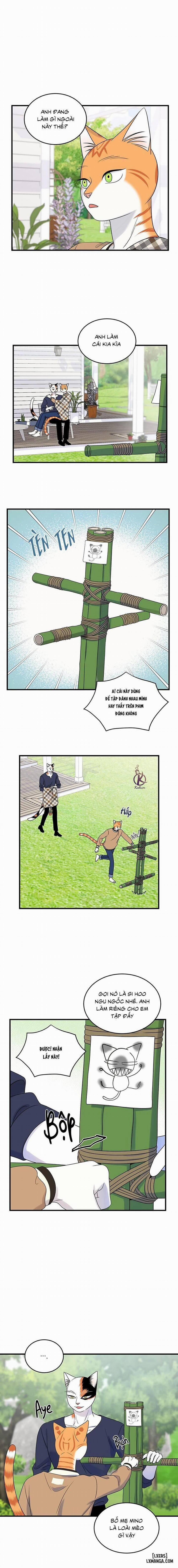 Dự án xanh 49 trang 0