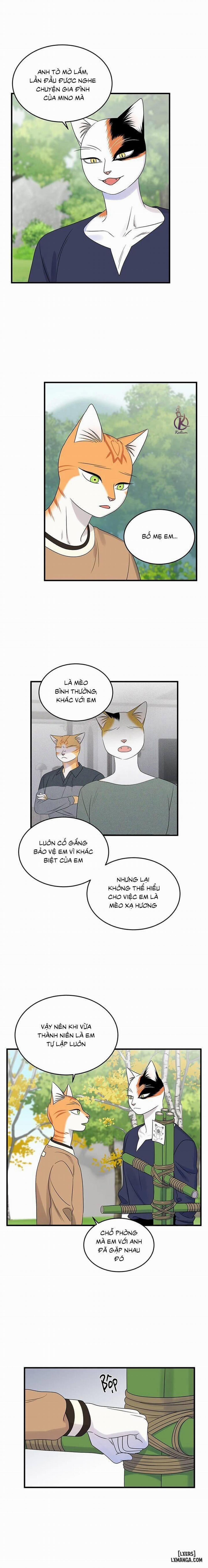 Dự án xanh 49 trang 1