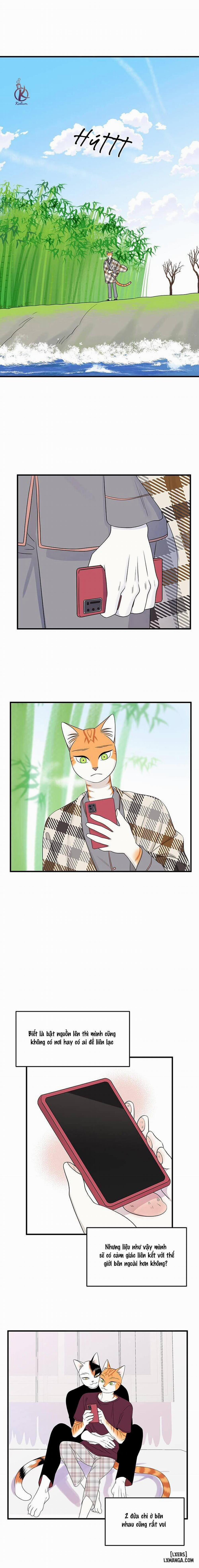 Dự án xanh 49 trang 10