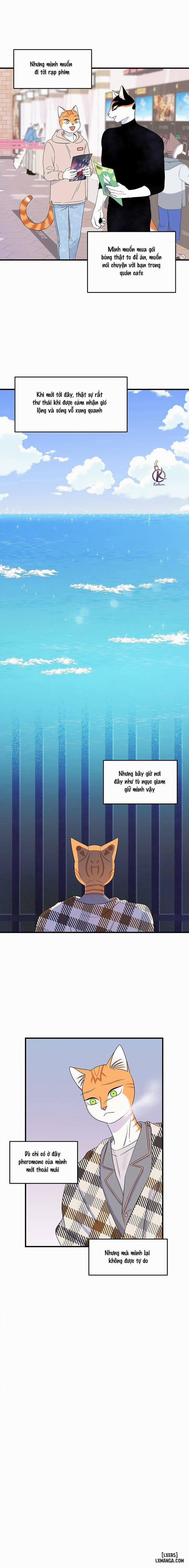 Dự án xanh 49 trang 11