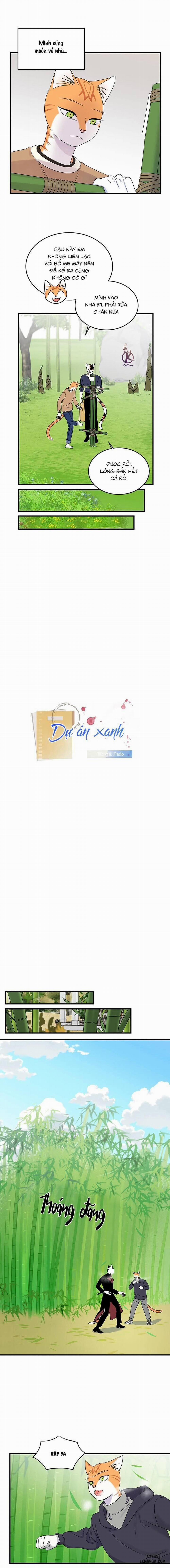 Dự án xanh 49 trang 2