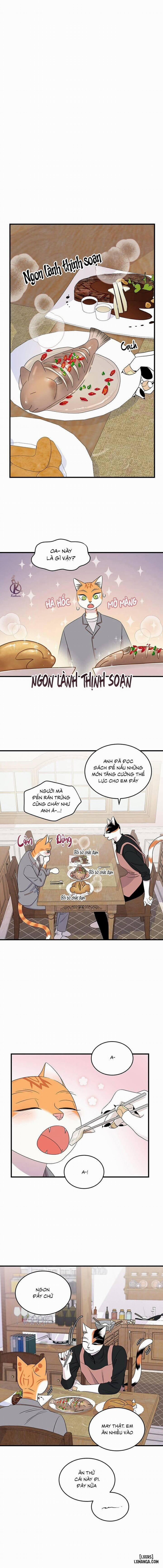 Dự án xanh 50 trang 0