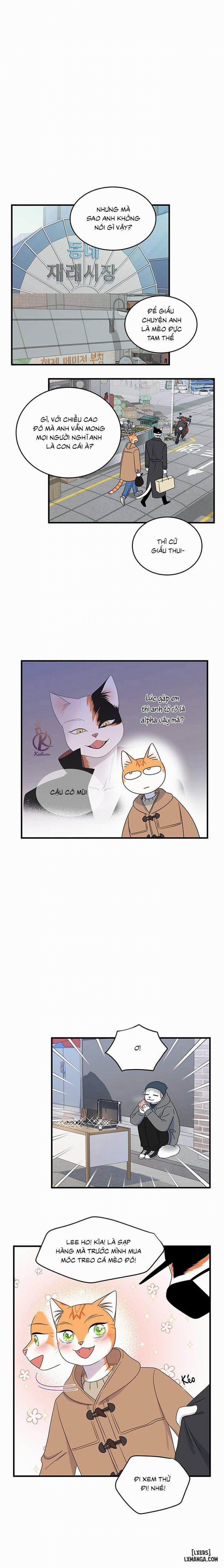 Dự án xanh 50 trang 10