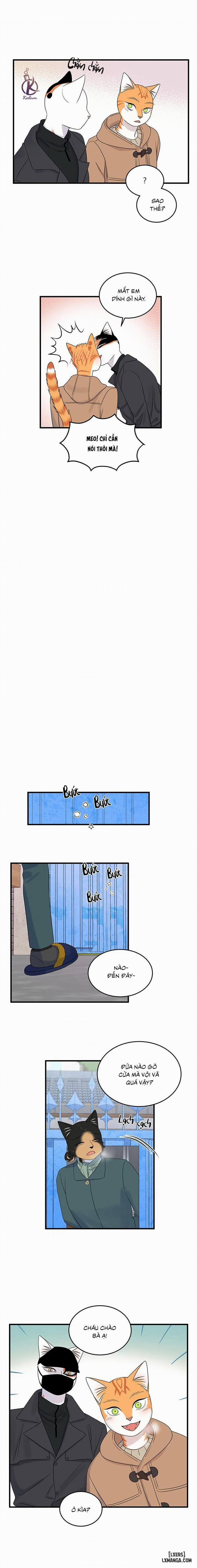 Dự án xanh 50 trang 7